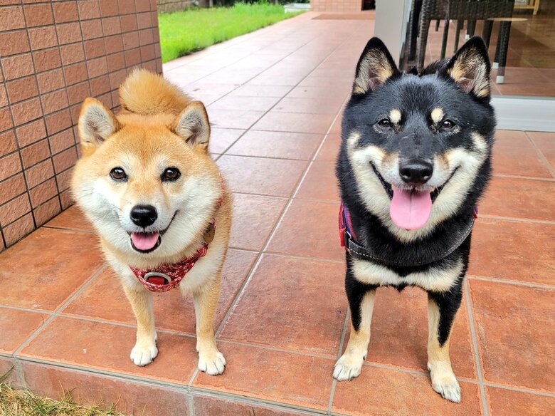 提供：kuroazu_beansさん