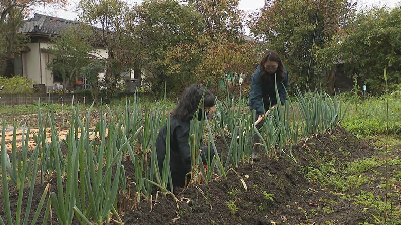 店で使う野菜を栽培