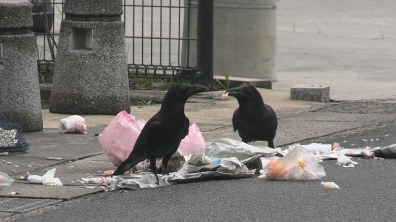 カラスに荒らされ路上にごみ散乱