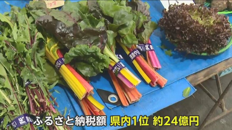 鎌倉市のふるさと納税額は県内ナンバー1だ