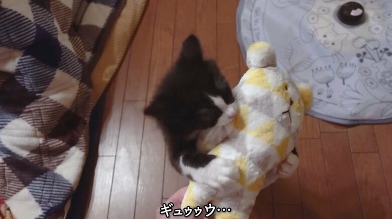 提供：もちぞう ですが。さん