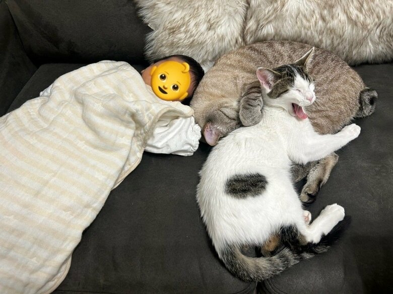 息子さんと一緒に2匹ともスヤスヤ