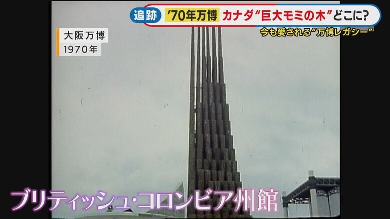 カナダのブリティッシュ・コロンビア州パビリオンで話題となった「モミの木」