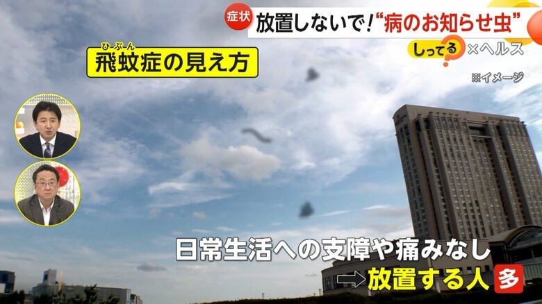 視界に小さな黒い点が現れ、まるで虫が飛んでいるように見える「飛蚊症」