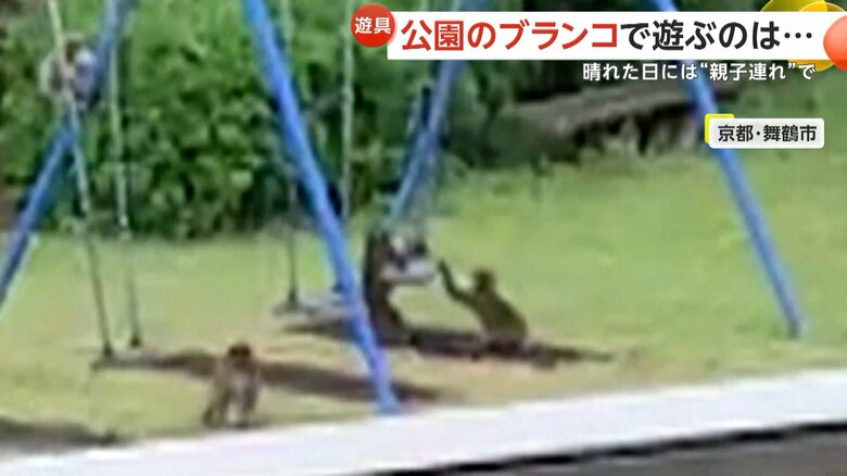 早く代わってと、まるで人間のようなそぶりを見せるサル⑧