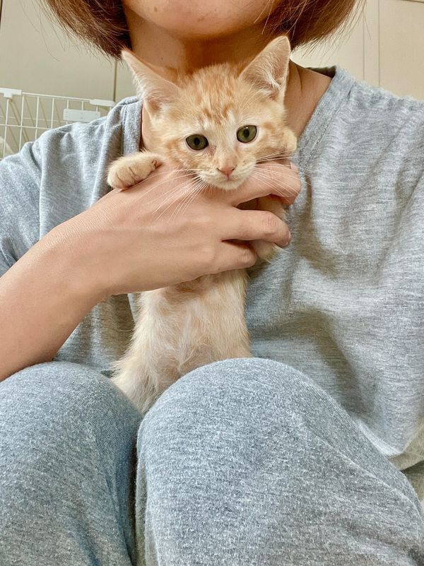 提供：oimo & yuzukiさん