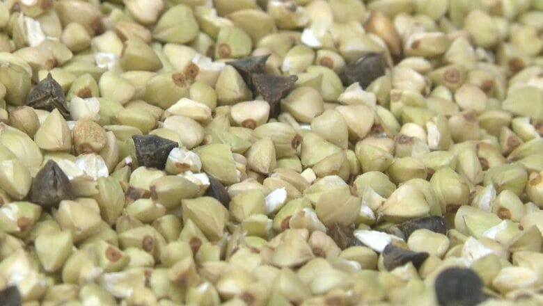 信州産の「玄ソバ」