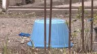 秋田県鹿角市で85歳女性がダイコンの洗浄中 クマに襲われけが 秋田市の中心部の公園でクマ目撃 秋田