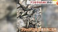 ブラックバスを釣って特産アユを守れ! 釣ったブラックバスは組合が1匹300円で買取“土壌改良”に活用【山形発】