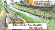 【クマ出没】上山の市街地・米沢の山間地で目撃相次ぐ　鈴木農水大臣が春の農作業時の注意呼びかけ　山形