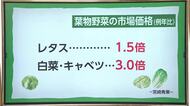 野菜高騰で人気メニュー「レタス巻き」販売休止 レタスの価格は例年の約1.5倍 白菜キャベツは約3倍