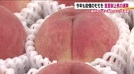 福島・桑折町で「献上桃」の選果作業　最高品質のモモ210個が箱詰め　33年連続で皇室と宮家へ