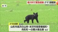鮭川村佐渡で緊急銃猟クマ1頭駆除・付近の箱わなにかかった1頭も駆除　米沢市・舟形町でも目撃　山形