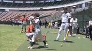 阪神タイガースの元選手が指導する体験教室　親子で野球の魅力に触れる【岡山　倉敷市】