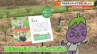 やなせたかしと牧野植物園がコラボ！高知名産の野菜がユニークなキャラクターに変身、育つ過程も楽しめる