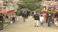 秋田市の桜の名所で祭り始まる　訪れた人が見頃の桜を満喫　露店で花見のお供を買う人の姿も