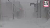 【衆院選投開票日の北海道はまた大雪か…】留萌市などで猛吹雪となった7日の北海道―8日は日本海側を中心に大雪の見込み…8日朝までに多いところでは降雪30センチの予想も