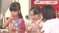 拠点産地の本部町で「アセローラまつり」　甘酸っぱい旬の味を堪能