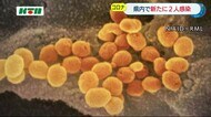 長崎港の国内クルーズ船の受け付けを約1年ぶりに再開…長崎県独自のルールと連携体制を構築