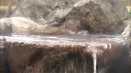 「温泉大賞」に芸能人が続々 ダチョウ倶楽部も登場
