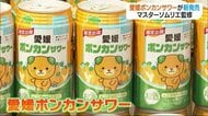 愛媛県産ポンカンサワー限定発売開始【愛媛】