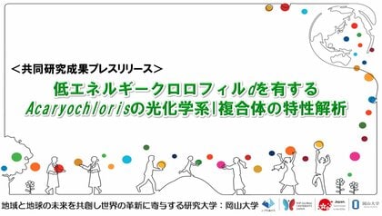 低エネルギークロロフィルdを有するAcaryochlorisの光化学系I複合体の特性解析〔静岡大学、岡山大学、理化学研究所〕