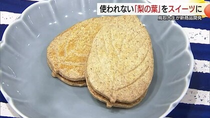 おいしいのは果実だけじゃない！“梨の葉”が新スイーツに！鳥取大生が2年かけ商品化　耕作放棄地に着目