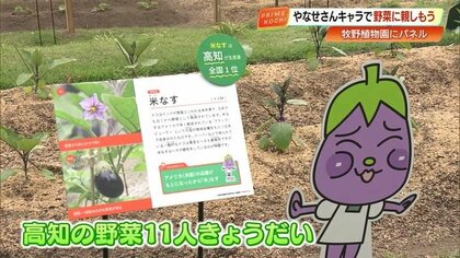 やなせたかしと牧野植物園がコラボ！高知名産の野菜がユニークなキャラクターに変身、育つ過程も楽しめる