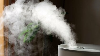 「結露」「カビ」を防ぐ置き方はある？加湿器を上手に使うタイミングと家庭での留意点｜FNNプライムオンライン