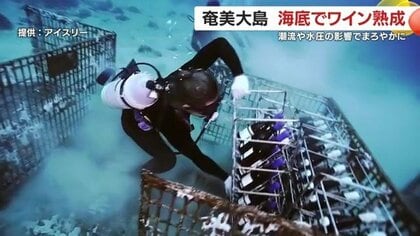 海底で熟成した&ldquo;極上ワイン&rdquo;が誕生　奄美で生まれた&ldquo;海のテロワール&rdquo;とは？