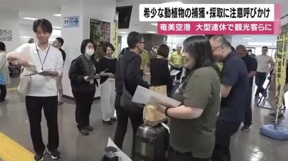 奄美空港で希少動植物保護のお願い　大型連休の観光客向け注意喚起