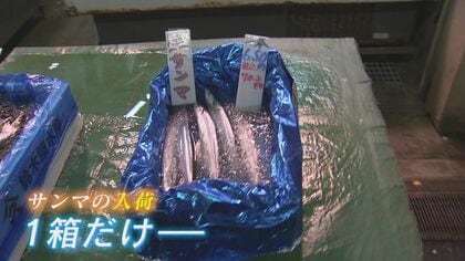 秋を代表する味覚サンマ 今季の価格は？ 1尾1000円越えの高値も 前年同時期と比べ漁獲量が激減 【福岡発】