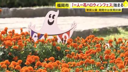 ハロウィーン期間中は夜間封鎖　福岡市の警固公園でイベント　色とりどりの花とオブジェを楽しむ