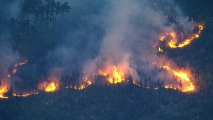福島・新潟で山林火災　避難指示やけが人も 