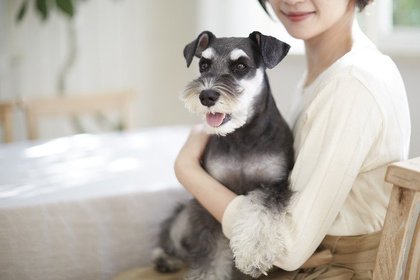 4月 ９月生まれの犬は病気になりにくい 人気18犬種が注意すべき病気は