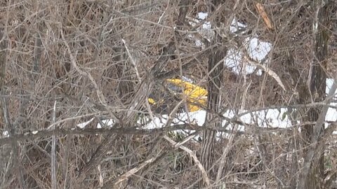 長野・白馬村でスノーモービルが横転　同乗のオーストラリア国籍とみられる8歳ぐらいの女の子死亡