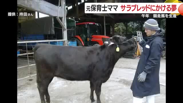 持田ファームは15年前、夫の健太さんが母牛1頭から始めた