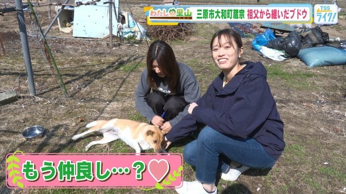 愛犬「せんちゃん(本名：専務）」　（右：辰已麗アナウンサー）