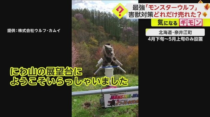 北海道・奈井江町で、4月下旬〜5月上旬のみ設置されているモンスターウルフ
