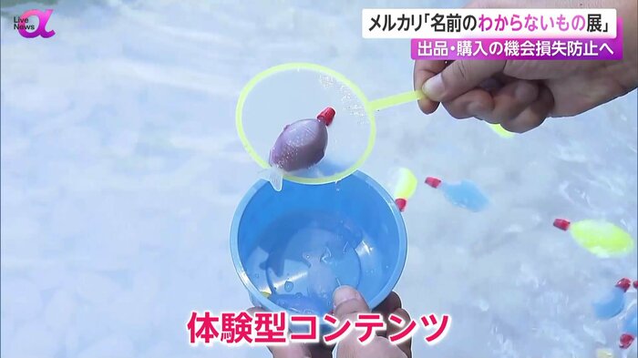 特別展で用意された体験型コンテンツ