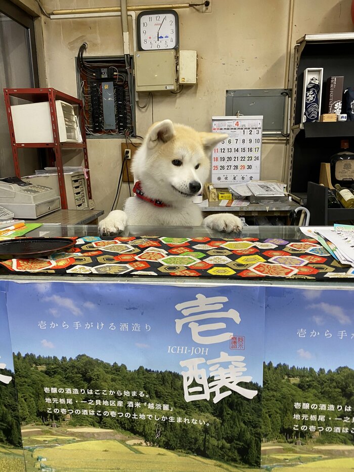 店番をする優美ちゃん