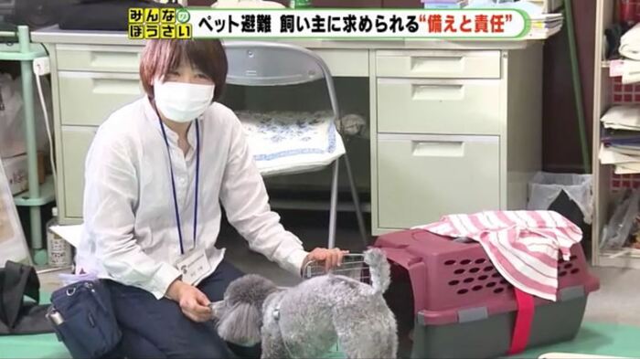 ケージへの入れ方をアドバイス