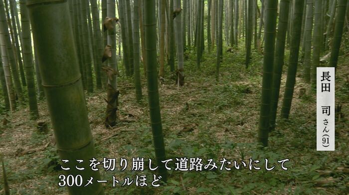 かつての駐機場 今は竹やぶに