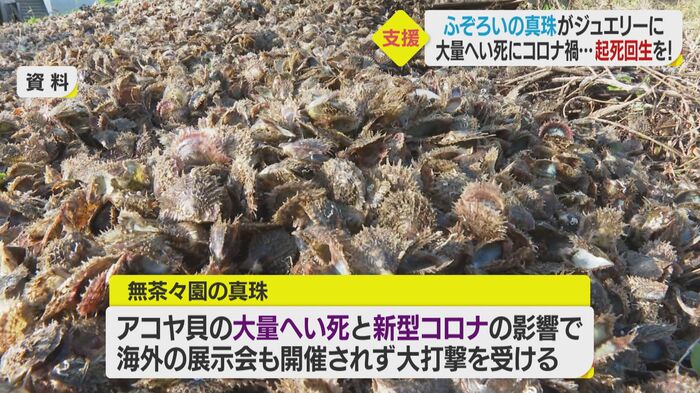 アコヤ貝の大量へい死で打撃