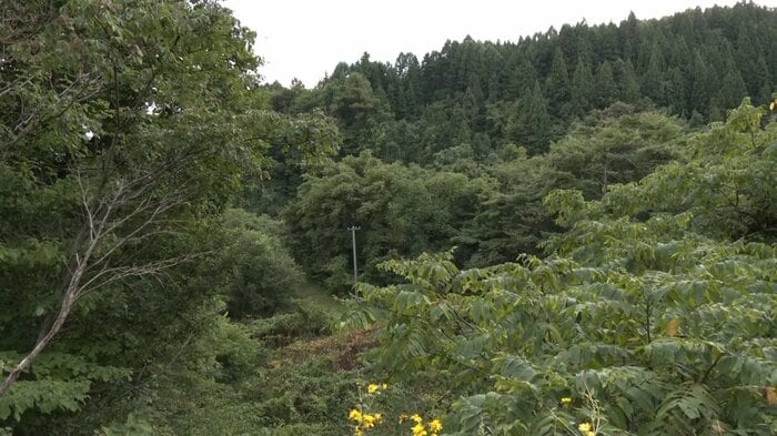 電柱点検の作業員2人がクマに襲われた秋田・鹿角市八幡平の現場付近(2025年9月18日)
