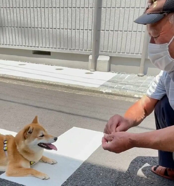 初めて会ったときから大好きだという