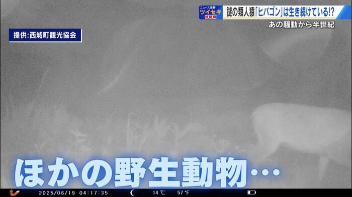 カメラに映っていたのは…