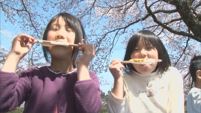 お花見給食で郷土食の「五平餅」を食べる(長野県高森町・2019年)