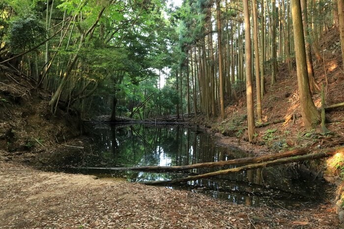 二の門脇にある水堀