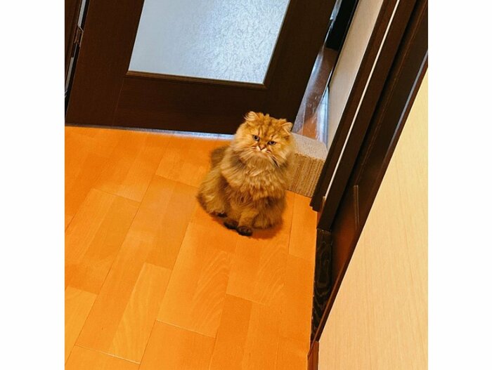 提供:ひなたさん